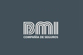 BMI